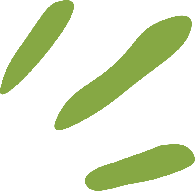 Green leaf